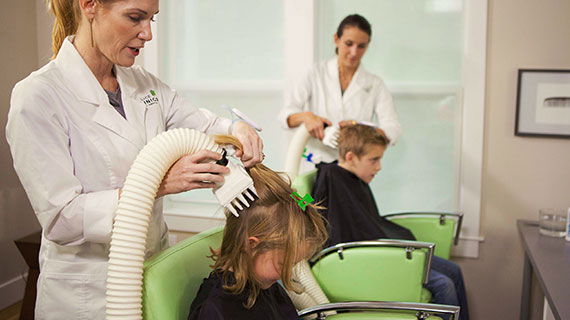 head lice treatment clinicians head lice treatment clinicians