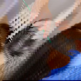 head lice screening check for head lice