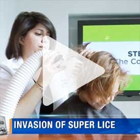 invasion-of-super-lice invasion of super lice news clip