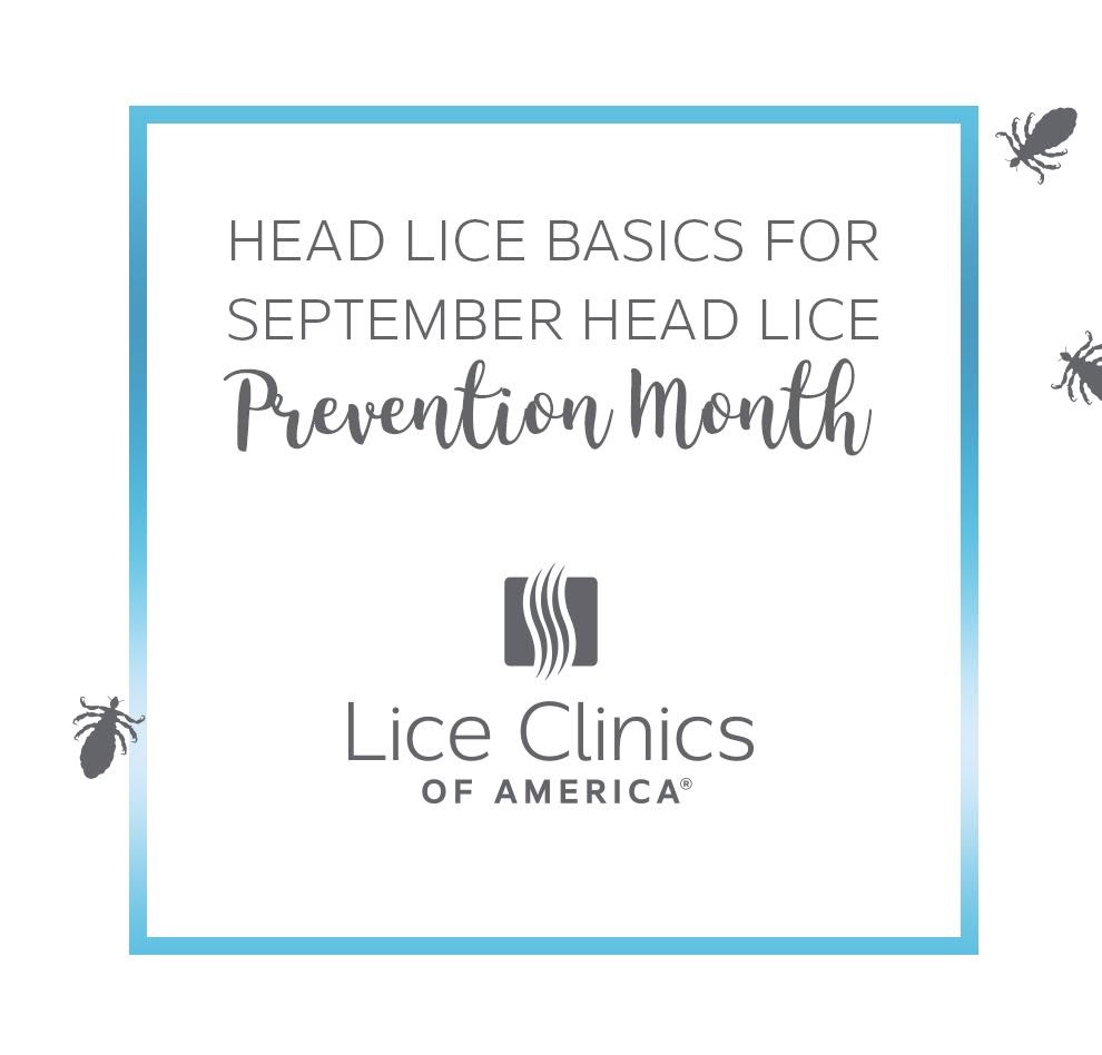 Top 8 head lice questions and answers for September head lice prevention month at Lice Clinics of America - Vernon Hills, Spring Grove