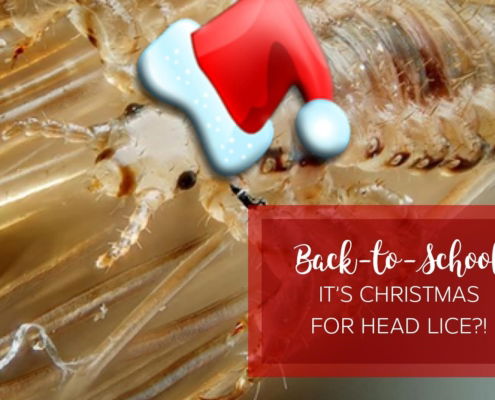 Lice infestation wearing a santa hat during the back to school season.