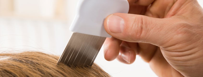 Combing through hair scanning for lice